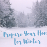 How to Prepare Your Home Before Flying South for the Winter