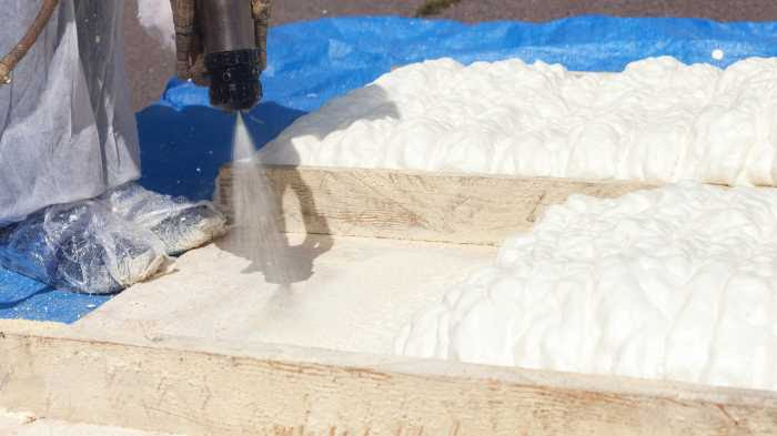 spray foam prevents mold Wattson fl