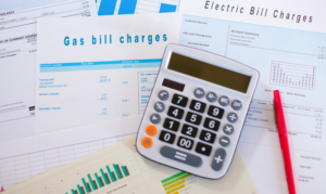 what is the home mvp program