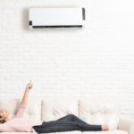 Can a Mini-Split with Dehumidifier Go Together?