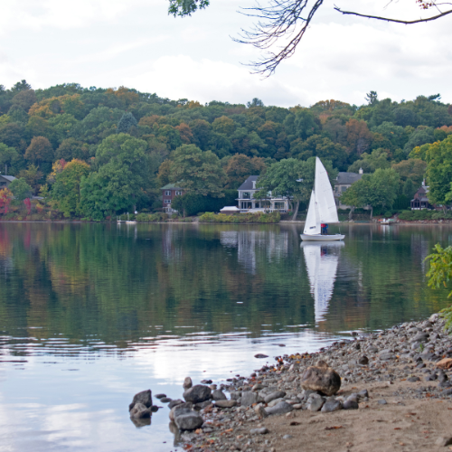 Arlington Home Solutions