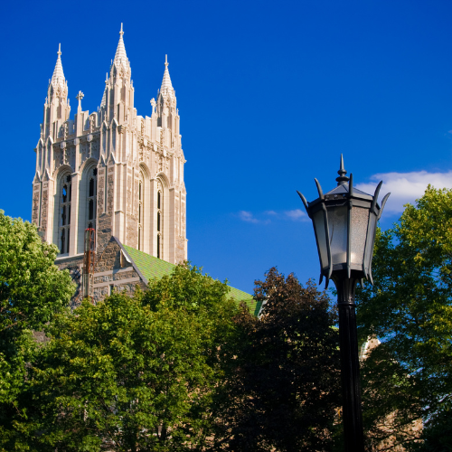 Newton home solutions-1