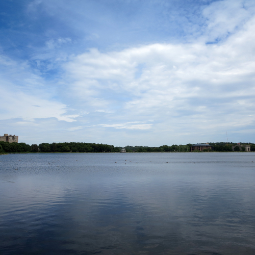 Newton home solutions